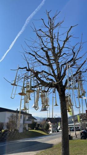 2025_Umzug & Uslumpete Doppleschwand